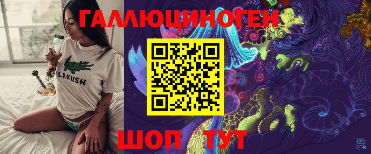 Псилоцибиновые грибы Psilocybine cubensis  Галлюциногенные грибы Psilocybine cubensis  Вход с VPN  Осинники 