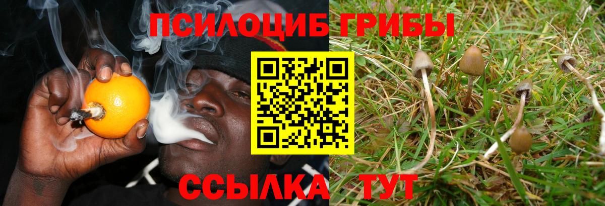 Псилоцибиновые грибы ЛСД Осинники